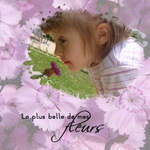 La_plus_belle_de_mes_fleurs
