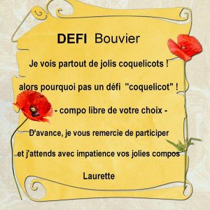 Défi coquelicot