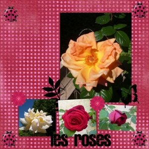 les_roses