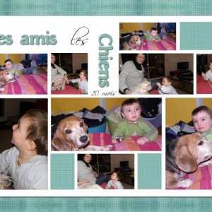 mes_amis_les_chiens