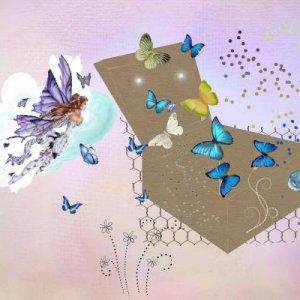 La boite aux papillons - Défi Moysson