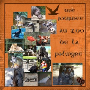 UNE JOURNEE AU ZOO DE LA PALMYRE