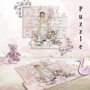 Defi puzzle Moyson