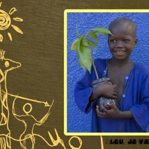 Bleu, je veux Des arbres pour le Sahel Un manguier Pour manger