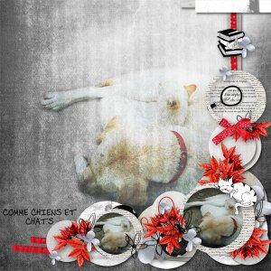 kit une vie de pa'chat de kittyscrap template Eudora design