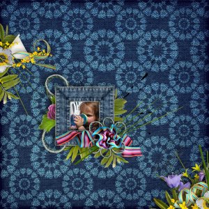 kit denim style de butterfly design