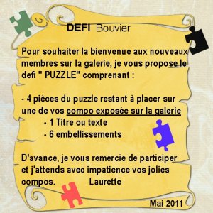 Défi Puzzle Bouvier
