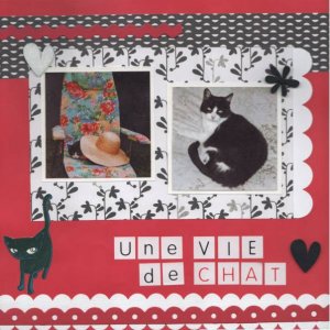 Une vie de chat