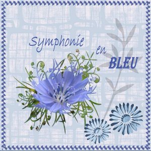 Challenge Bleu Marylène