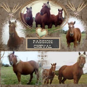 passion cheval