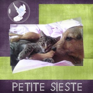 Petite_sieste