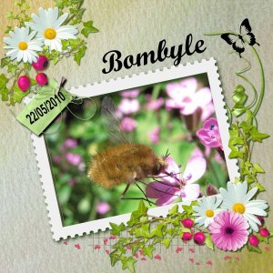 Bombyle