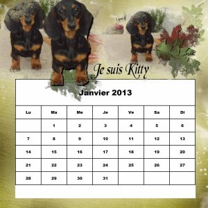 2013 approche .... Faites vos Calendriers Perso