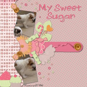My sweet sugar