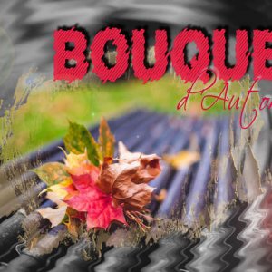 bouquet_d_automneb