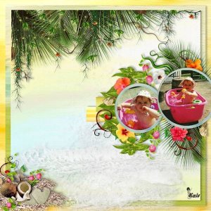 Template23_Coconutdream_by_Melly_Cr__ations