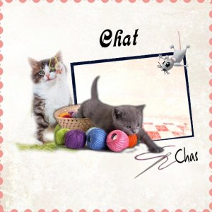 Chat et Chas