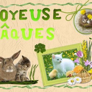 Joyeuse_P__ques