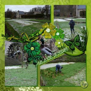 Les Cressonieres-Defi vert Papillon
