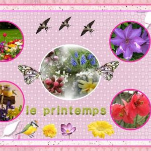 le_printemps7