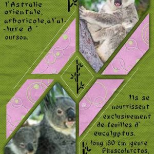 Realisation_du_09-04-13_le_koala