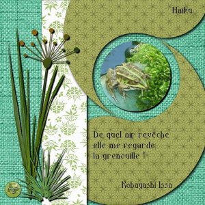 Haiku Grenouille 02