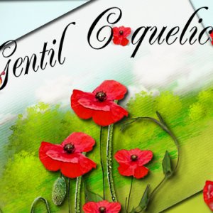 Gentil coquelicot, les champs en sont envahis et j'adore ça !!!