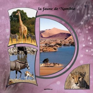 faune_Namibie