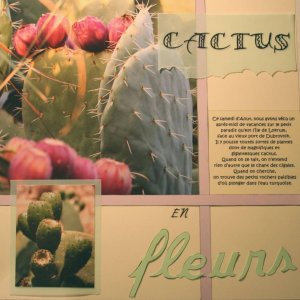 cactus bis