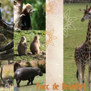 Zoo de Branféré