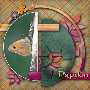 Papillon02