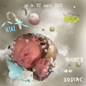 signe du zodiac