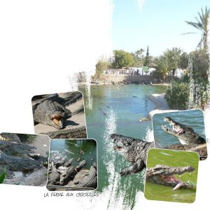 Ferme aux crocodiles