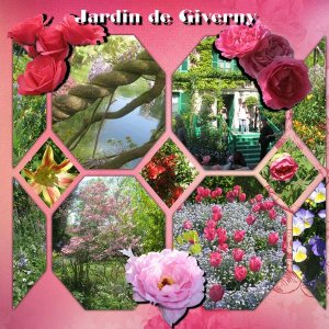 Suivit de la visite de Giverny, voici le jardin.