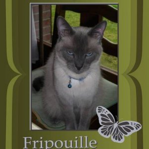 FRIPOUILLE-1