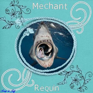 Le méchant requin.