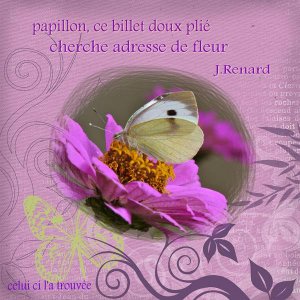 fleur_et_papillon