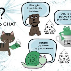 METEO CHAT