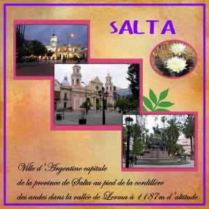 Argentine_salta