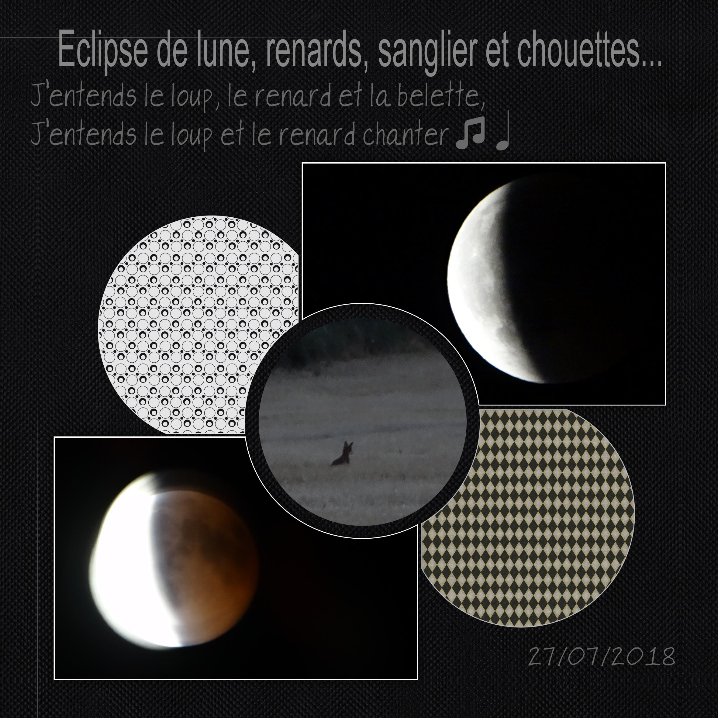 éclipse de lune.jpg