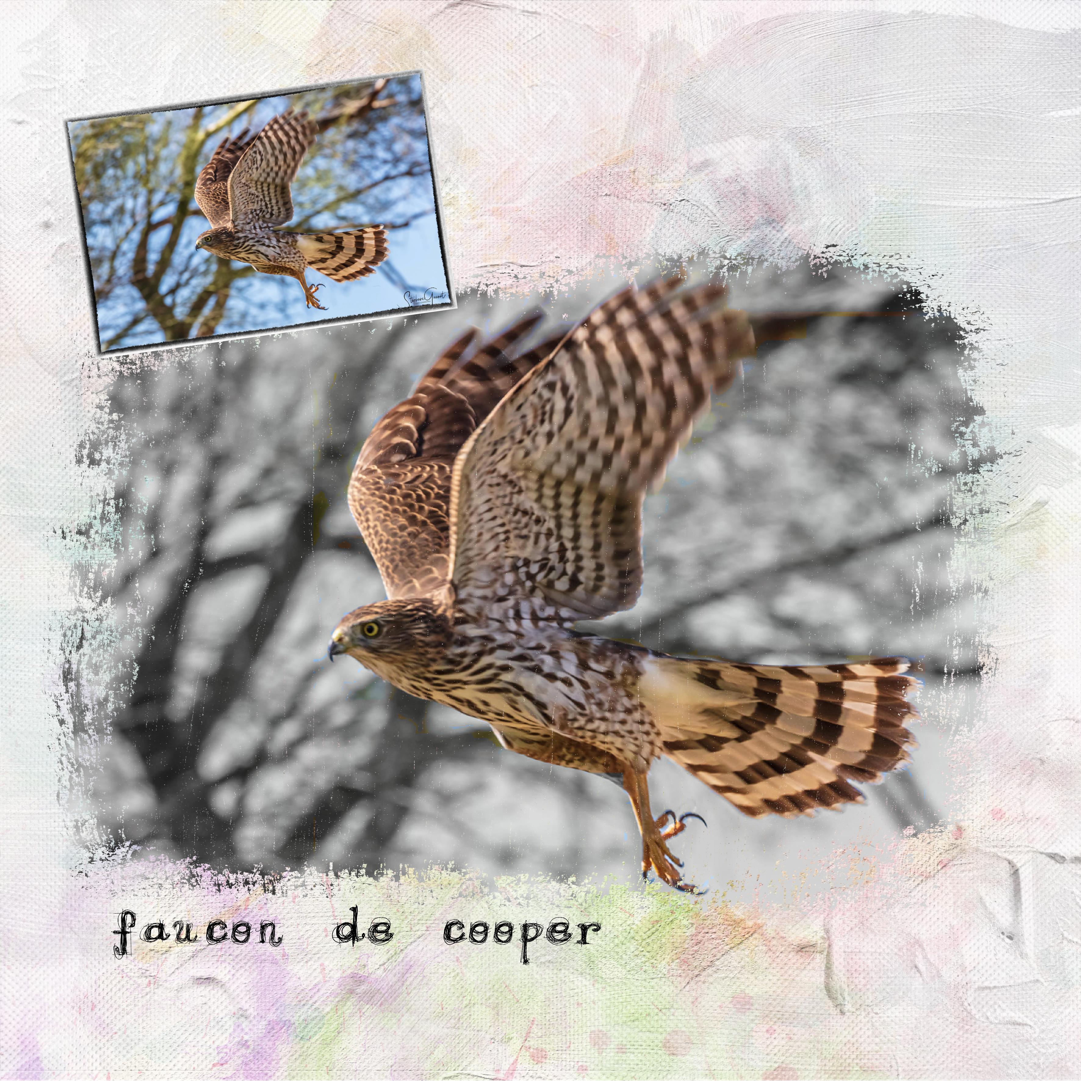 01 12 2021 Défimrm (page 5).jpg