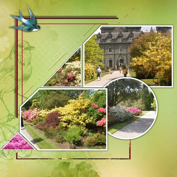 011_Un_peu_de_Printemps