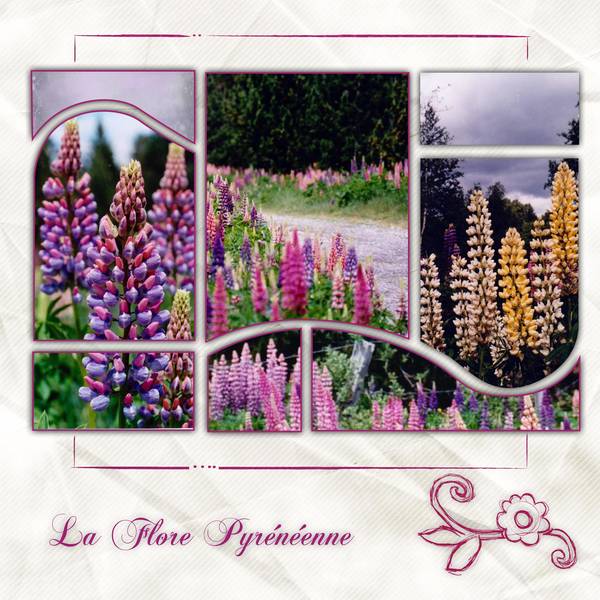 015_La_Flore_Pyr__n__enne