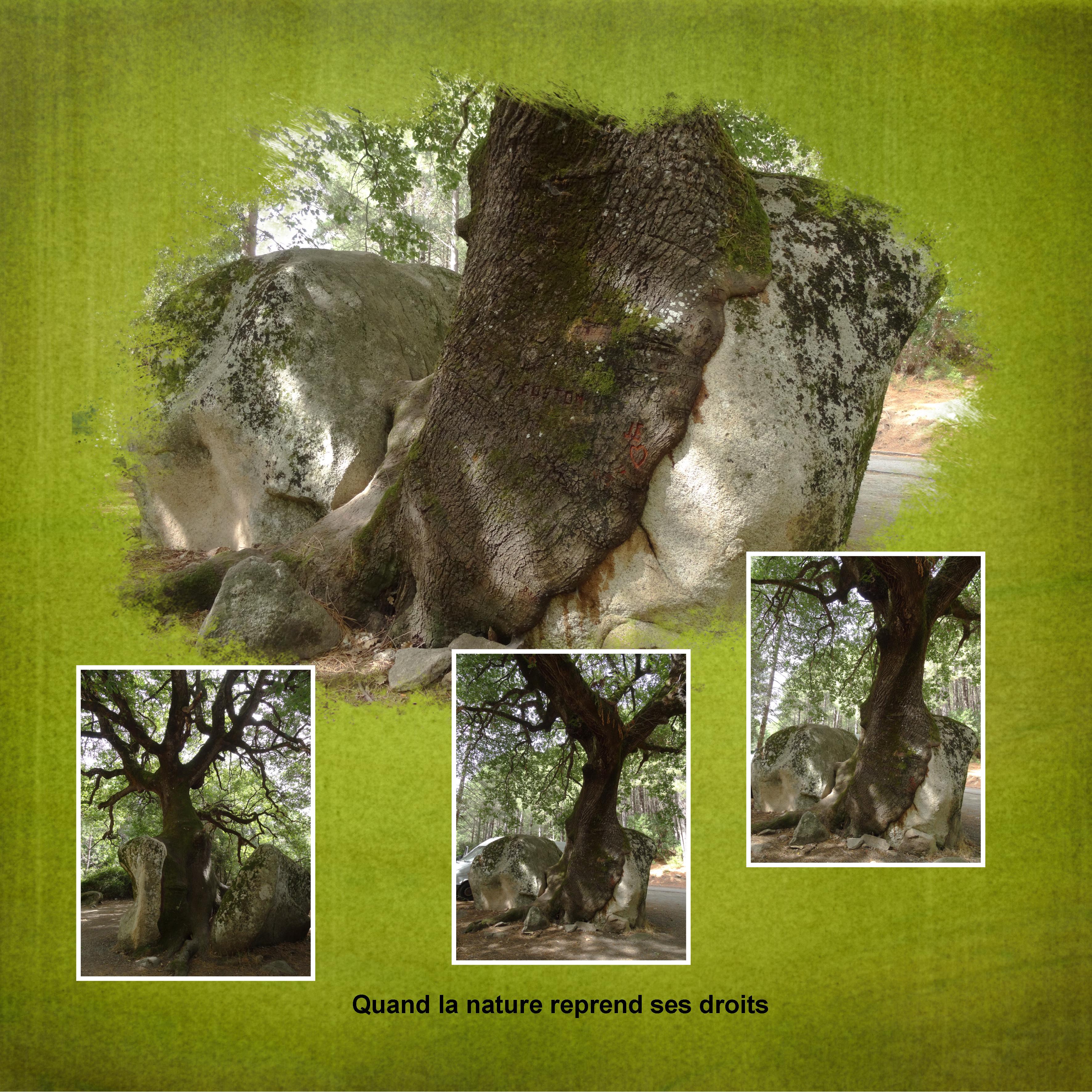 02 Rocher (page 1).jpg