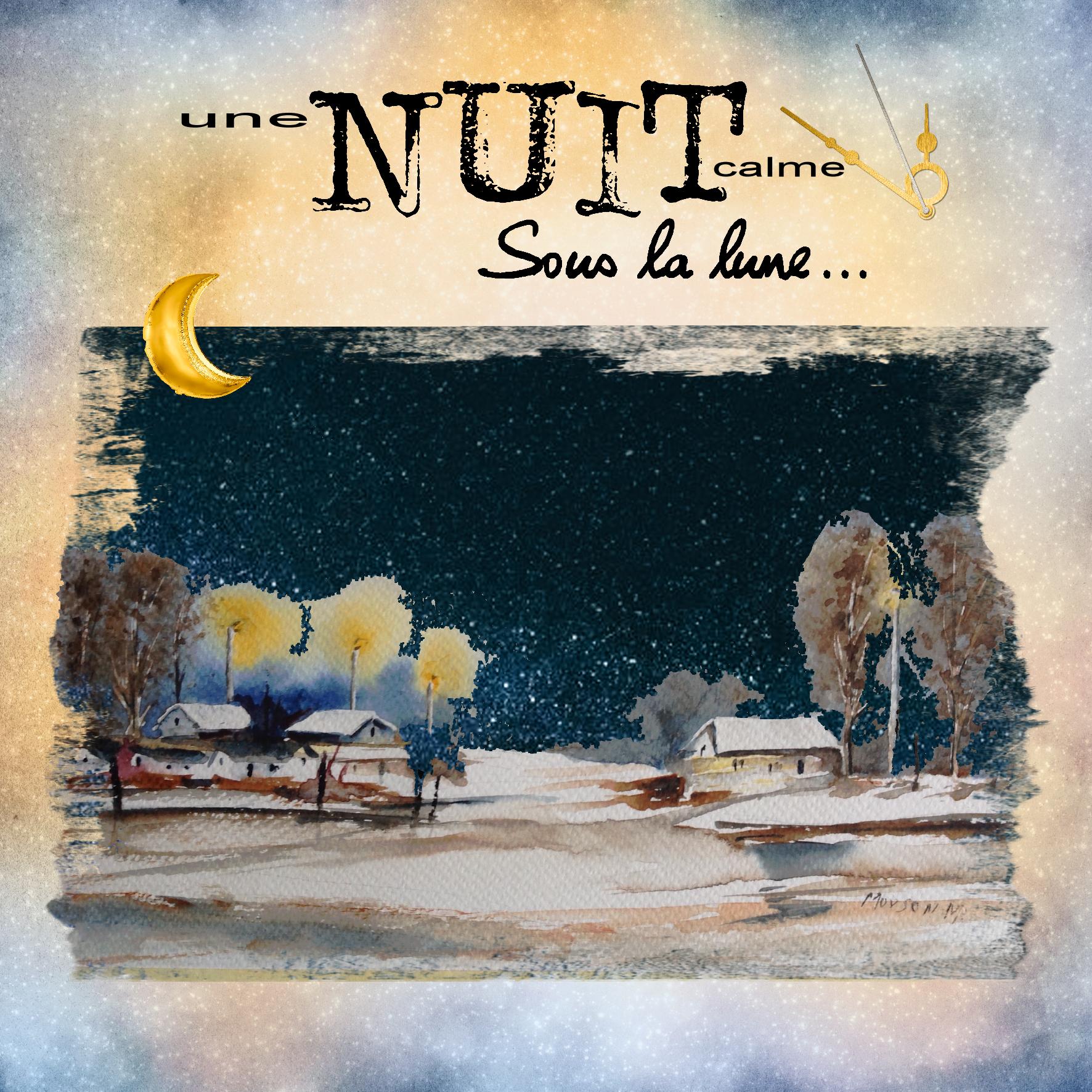 023 ambiance nuit .jpg