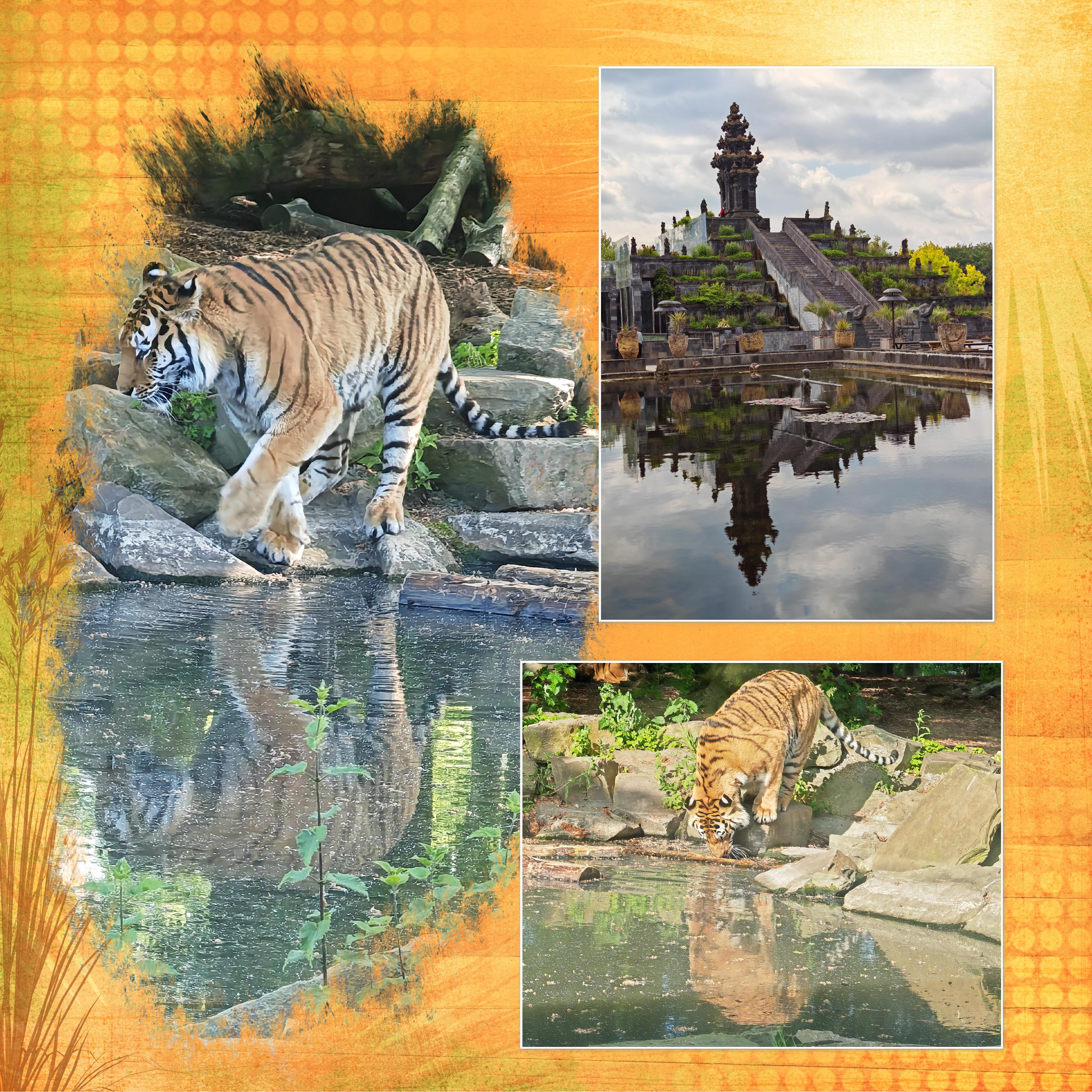 03 Reflet (page 1).jpg