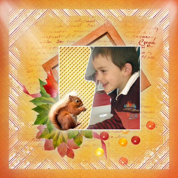 039_Joli_petit_Ecureuil