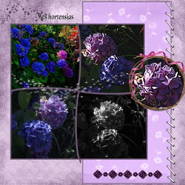 04-09-15_mes_hortensias