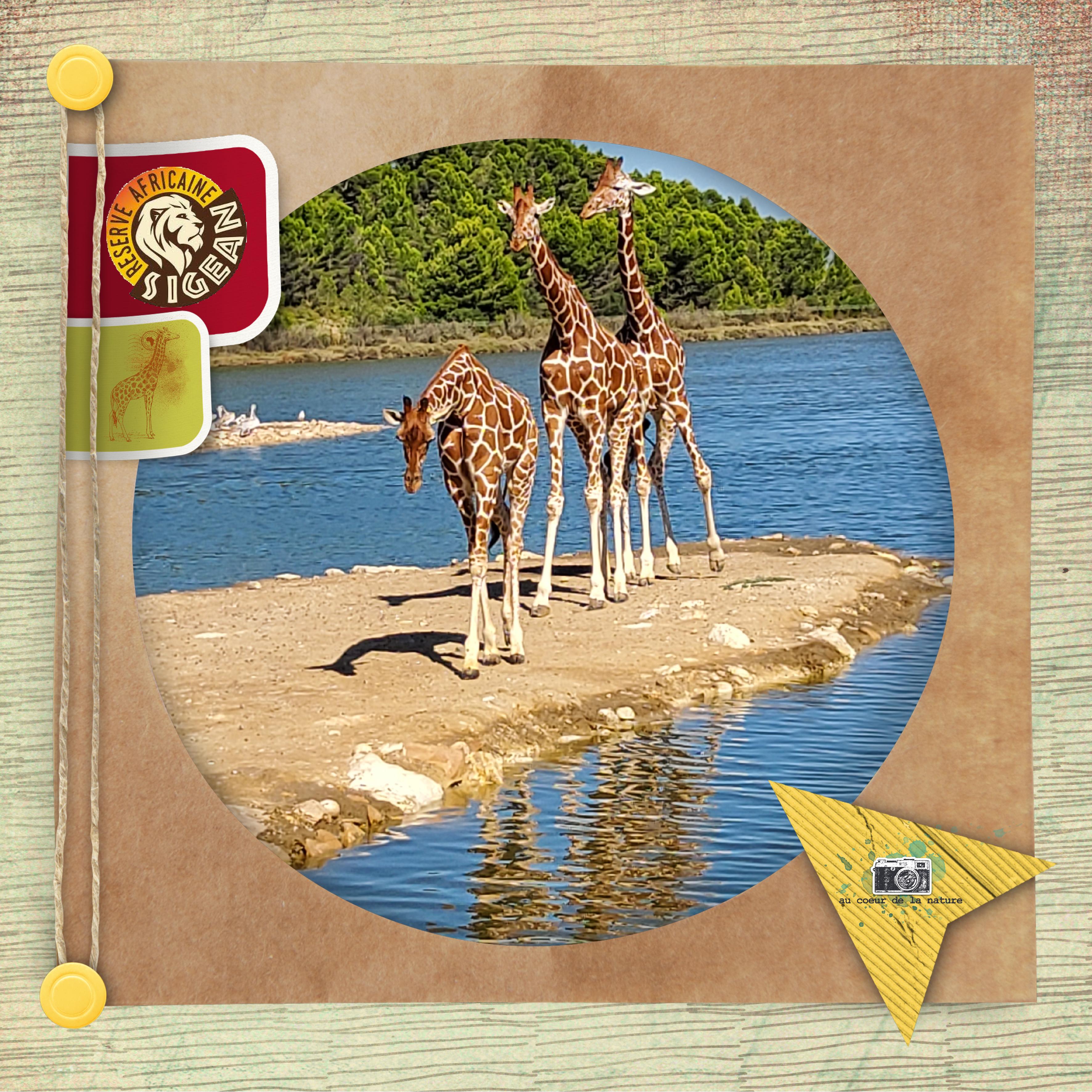 04 Kraft (page 1).jpg