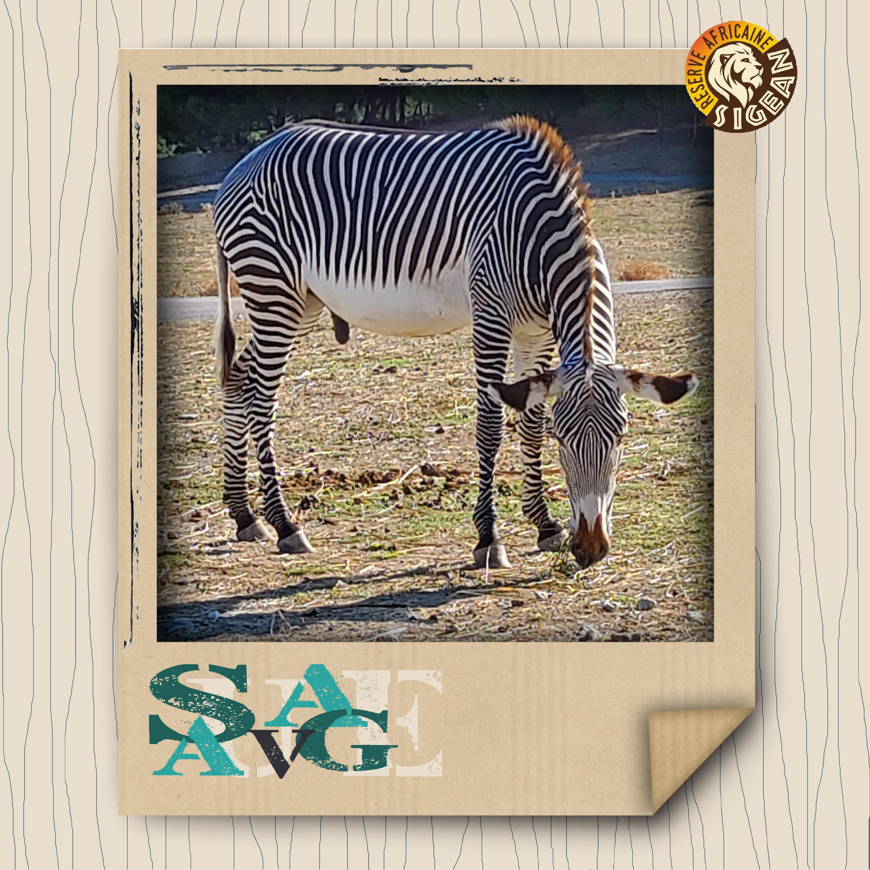 04 Kraft (page 2).jpg